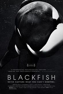 blackfish wikipedia|blackfish documentary synopsis.